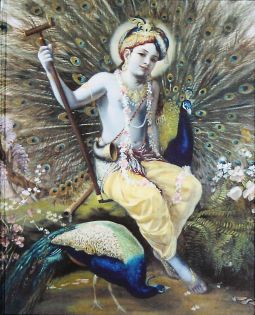 Krishna Art Book